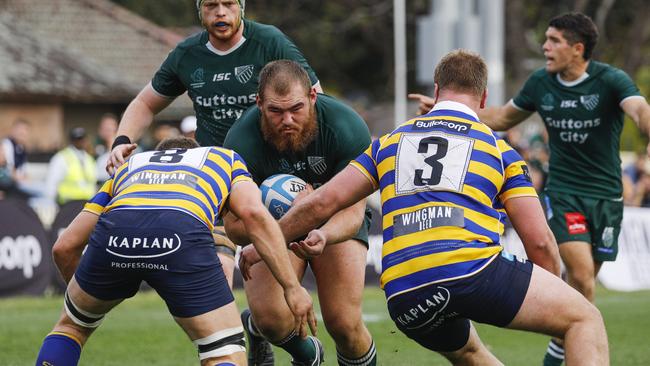 The Shute Shield is a proving ground for young talent.