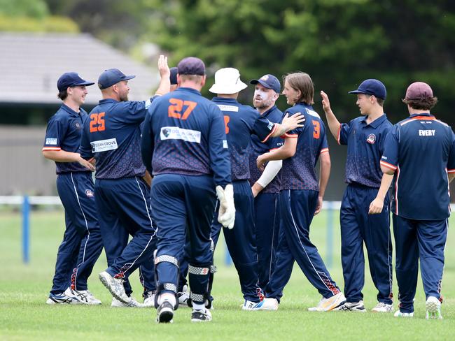 Collendina celebrate a wicket. Picture: Mike Dugdale