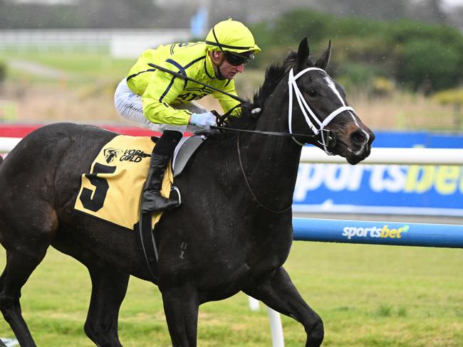 MELBOURNE, AUSTRALIA - JULY 27: Daniel Stackhouse riding I am Velvet winning Race 1, the Vobis Gold Ingot - Betting Odds during Melbourne Racing at Caulfield Racecourse on July 27, 2024 in Melbourne, Australia. (Photo by Vince Caligiuri/Getty Images)