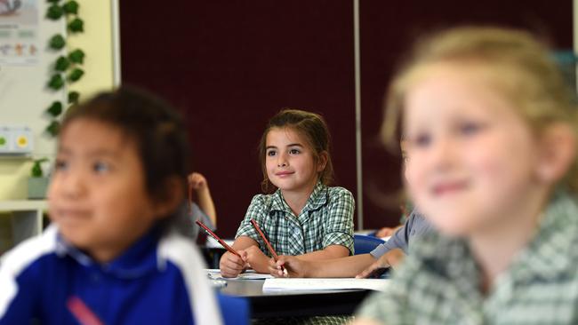 Smaller class sizes can benefit both teachers and students, St Francis Xavier primary school’s principal says. Anastasia Nikpourian completely a lesson with her peers. Picture: David Smith