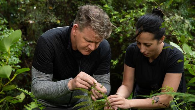 Gordon Ramsay and New Zealand chef, Monique Fiso, forage for ingredients. Picture: National Geographic