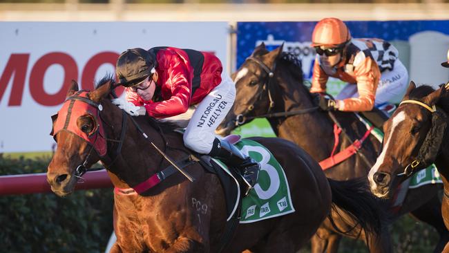 Orsetto ridden by Michael Hellyer wins race 1 at Clifford Park. Saturday, 4th Jul, 2020.