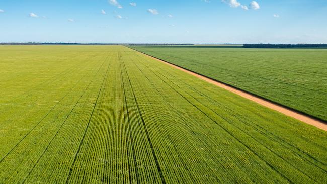 Riverina grain property Yarrabee Park.