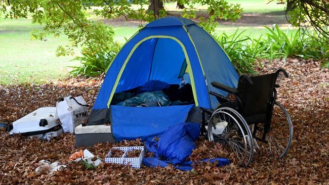 Tents are placed under trees in Enmore Park where many of the people have jobs. Picture: Jeremy Piper