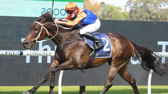 Think It Over can resume with a win in the Apollo Stakes. Picture: Grant Guy