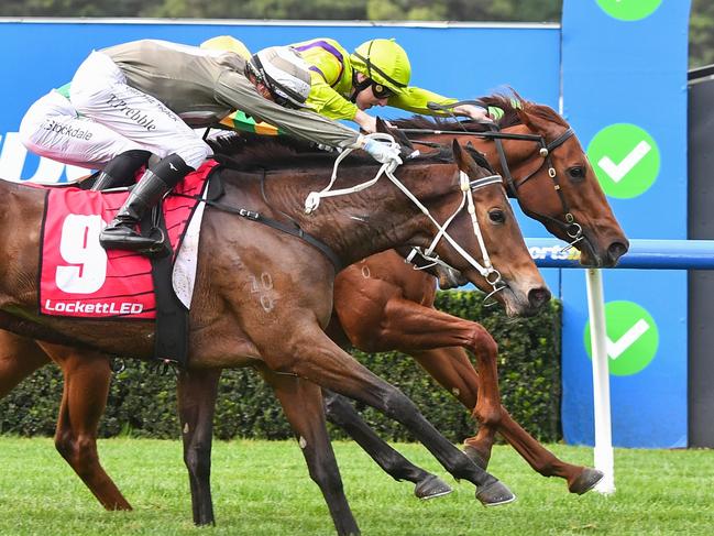 Nodachi ridden by Damian Lane and Lake Vostok ridden by Tom Prebble deadheat for the win in the LockettLED.au Handicap at Sportsbet Sandown Lakeside Racecourse on July 17, 2024 in Springvale, Australia. (Photo by Pat Scala/Racing Photos via Getty Images)