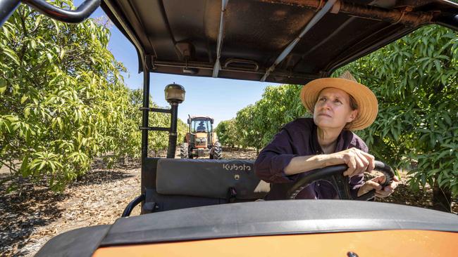 ‘I usually by now have all my staff and labour locked in,’ says Martina Matzner, manager of Acacia Hills Farms, south of Darwin. Picture: Shaana McNaught / The Australian