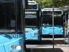 ‘Out of control’ youths terrorise Townsville bus drivers
