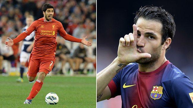 Suarez Fabregas