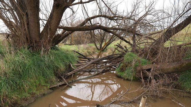 Part of the site deemed culturally significant. Picture: Rohan Kelly