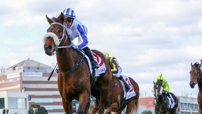 Mollynickers cruises to victory under Carleen Hefel at Caulfield. Picture: George Sal-Racing Photos via Getty Images