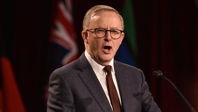 Labor Leader Anthony Albanese. Picture: Flavio Brancaleone