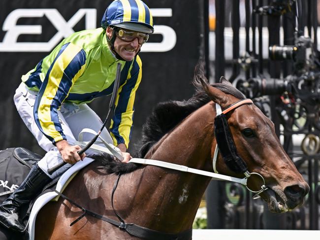 Kalapour (IRE) ridden by Damien Oliver wins the Lexus Archer Stakes at Flemington Racecourse on November 04, 2023 in Flemington, Australia. (Photo by Morgan Hancock/Racing Photos via Getty Images)