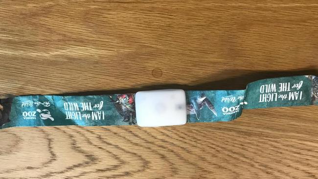 A Taronga Zoo Vivid wristband.