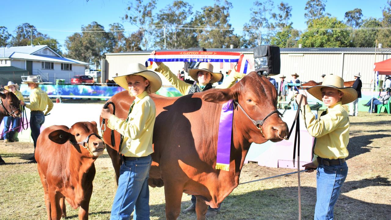 Toogoolawah High School won a number of ribbons for their cattle at the 2023 Gatton Show.