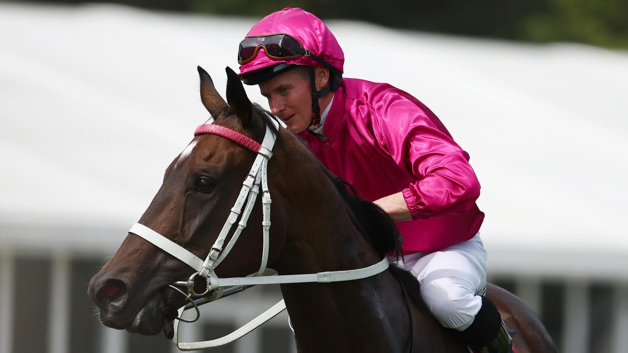 Last year’s winner Fangirl headlines the field for Saturday’s Winx Stakes at Randwick. Photo: Jeremy Ng/Getty Images.