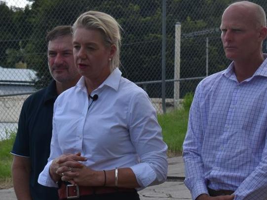 Emergency Management Minister Bridget McKenzie was joined by Wide Bay MP Llew OâBrien and Gympie Mayor Glen Hartwig in Duke St, where the $500k spend was announced.