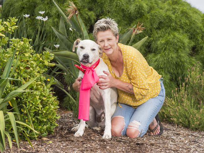 It’s been a long road for Omar but his he is finally thriving thanks to the care he received from RSPCA Victoria and his loving new owner Lindy Harris. Picture: Rob Leeson.