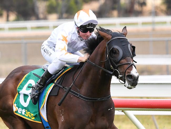 Exciting colt Rising can stay unbeaten for trainers Ciaron Maher and David Eustace at Sandown on Wednesday. Picture : Racing Photos via Getty Images.