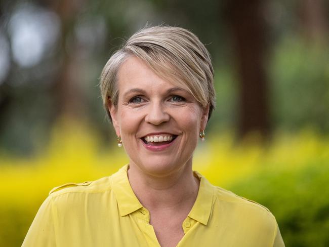 Labor education spokeswoman Tanya Plibersek