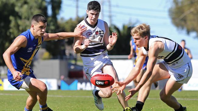 Josh Watson gathers for Northern Knights.