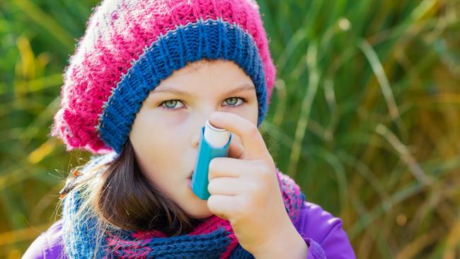 Asthma sufferers should keep their puffer handy, while people with hay fever should consult their GP to find out if they should have a puffer.