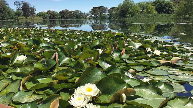 Mawallock garden. Picture: Open Gardens Victoria.