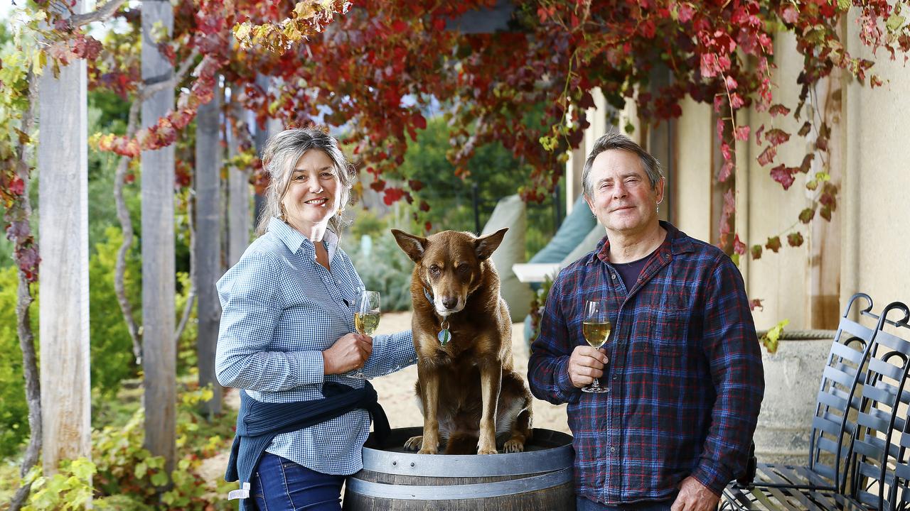 Steve Lubiana and wife Monique at their Granton winery with dog, Jaffa. Picture: MATT THOMPSON