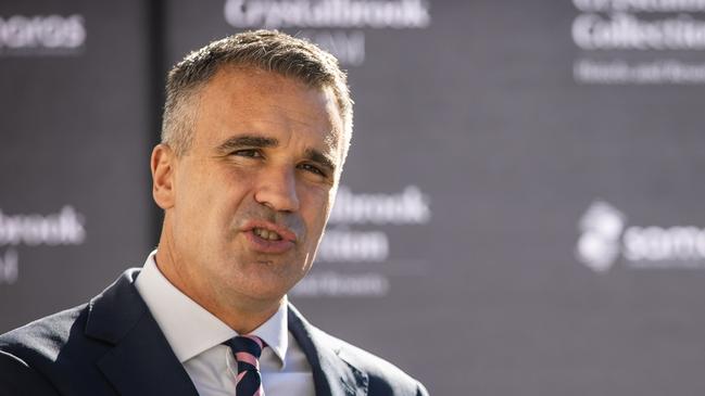 South Australian Premier Peter Malinauskas will meet with federal NDIS minister Bill Shorten to discuss the future of the National Disability Insurance Scheme. Picture: Tom Huntley