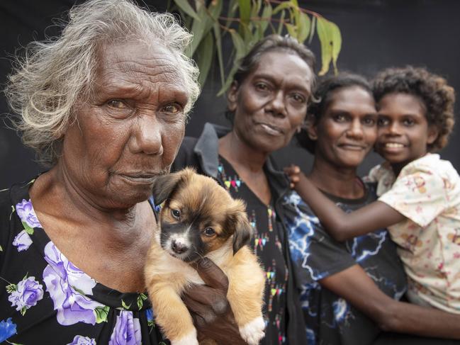 Four generations attending Garma 2024. Great grandmother, Mrs Dhopiya (Jennifer) Gurruwiwi (b 1950), Grandmother Selma Raliny Gurruwiwi (b1972), Mother Rachael Dhurrkay (b 1991) Ph. 0437568826 and her daughter Dorothy Garrawurra (b2017) and puppy Tinkerbell.  They all reside in Yirrkala and Birritjimi.Setting up on Thursday 1st August for Garma 2024Photo. Melanie Faith Dove