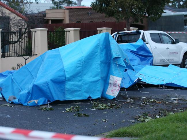 The wreckage of a light plane is seen in Scarlet Street, Mordialloc. Picture: AAP Image/David Crosling