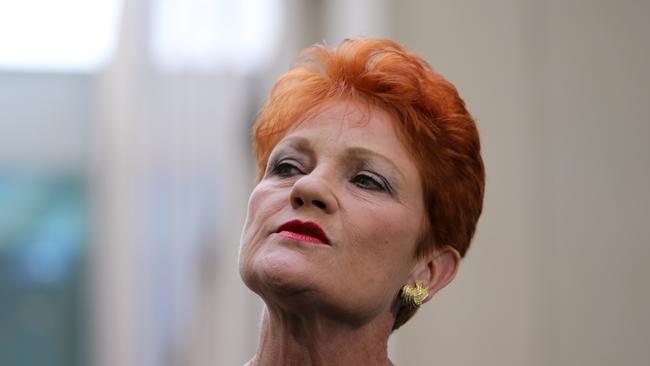 One Nation Leader Senator Pauline Hanson’s Senate stunt was grounded in fact. Picture: Gary Ramage