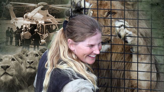 Jen Brown is back working with big cats.