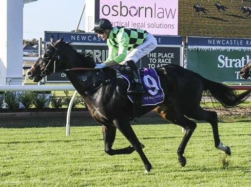 Akaka Falls looks a terrific bet at Newcastle on Saturday. Picture: Bradley Photos