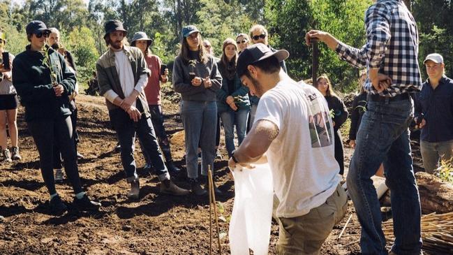 The team planting some trees. Photo: Co-Exist