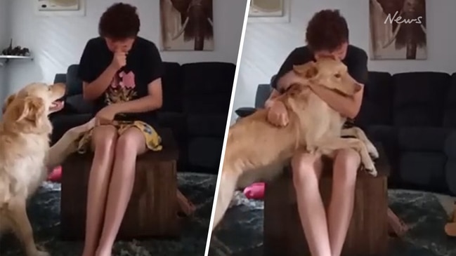 Autism service dog calms owner having panic attack