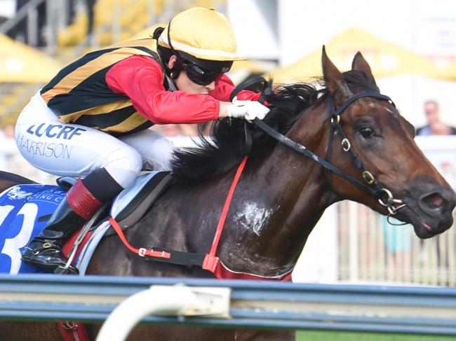 Tiyatrolani scores an impressive win at Doomben. Picture: Grant Peters, Trackside Photography