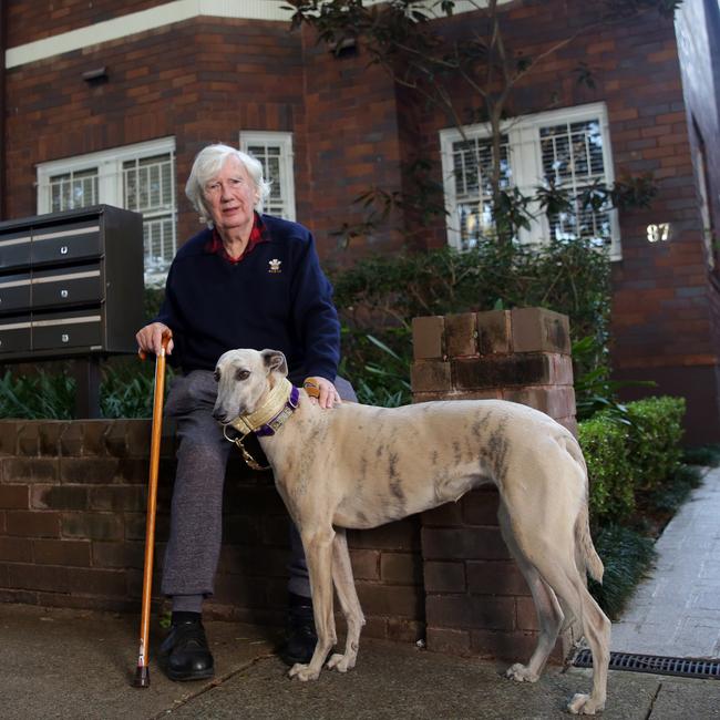 Colin Marshall in Rose Bay with his dog, Bu. Picture: Christian Gilles