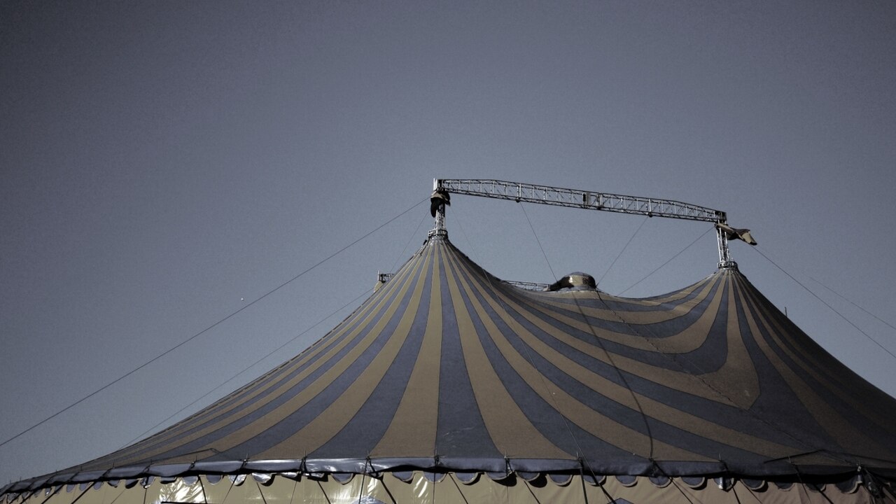 Circus abuse case: Sex claims might be fabricated, says lawyer