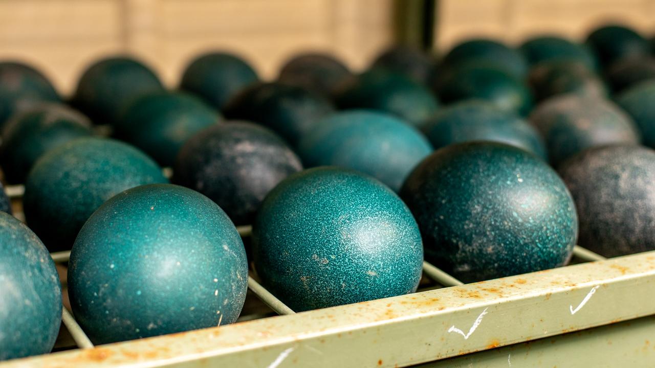 There are hopes the emu eggs can be saved.