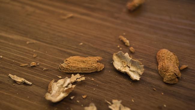 Peanut shells on the floor in the newly opened Lone Star Rib House in Grand Central, Tuesday, February 18, 2020. Picture: Kevin Farmer