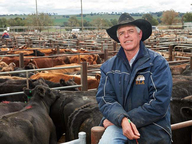 13/08/2018 Farmer Steve Condell with his cattle at a sale yard north of Wagga Wagga, 245km west of Canberra. Michael Frogley/The Australian