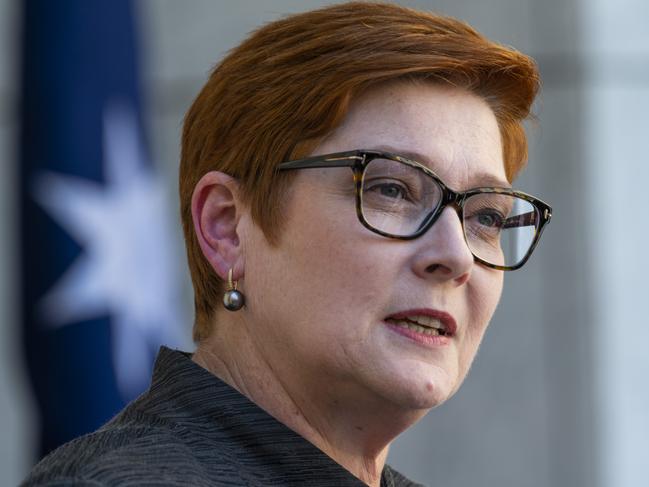 Minister for Women Marise Payne. Picture: NCA NewsWire / Martin Ollman