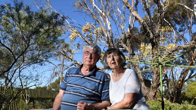 Kevin and Marilyn Collins with the large tree on their property that has suddenly died, at the northern end of St Kilda. Pictured on their St Kilda property on April 5, 2021. Picture: Tricia Watkinson