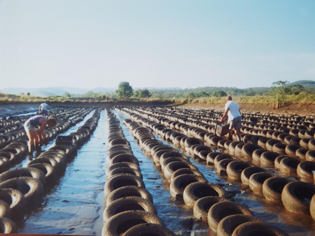 The Beenleigh Crayfish Farm in the mid-90s.