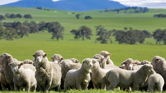 Buln Gherin property, Beaufort, Victoria.