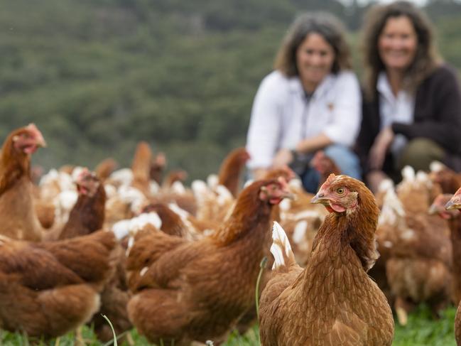 SHINE: Gab and Jacquie at Yolky DolkyThis couple have transformed the pasture raised farming industry through hard work, building strong relationships and following a dream born out of tragedy. They created Yolkey Dokey farm from nothing and with no farming experience to become significant suppliers of pasture raised eggs in Victoria as well as educators, employers and role models to strong women everywhere.PICTURED: Gab and Jacquie at Yolky DolkyPicture: Zoe Phillips