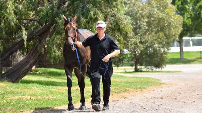 Trainer David Vandyke says he hates night racing.