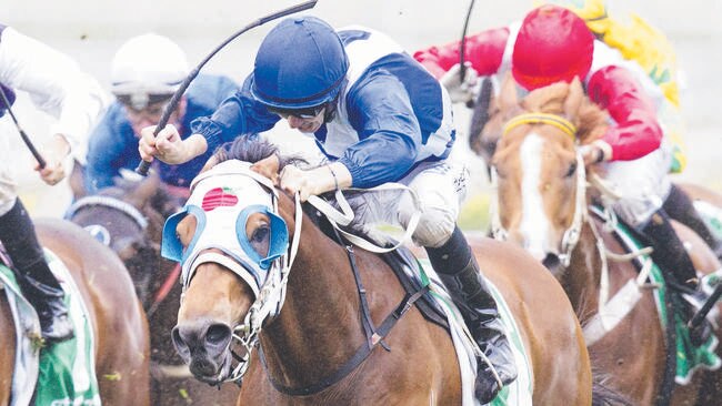 Disgraceful has returned in excellent form. Picture: Jenny Evans