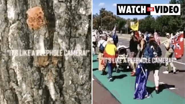 Protesters go crazy about ‘spy cam’ in tree